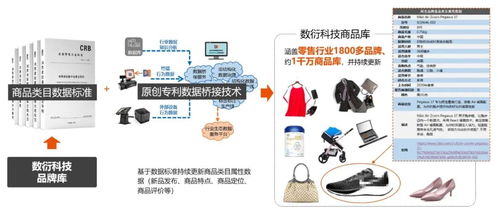 数衍科技CEO深度解读 购物中心数字化建设的关键问题与数字技术服务破局之道